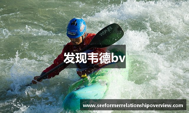 发现韦德bv